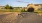 Dog Park